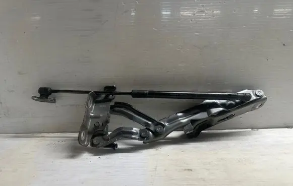 Engine bonnet/hood hinges