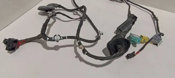 Audi Q5 SQ5 Front door wiring loom 8R0971029AP 8K0955557C