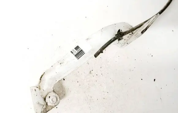 Renault Kangoo II Tailgate/trunk/boot hinge 8200386304
