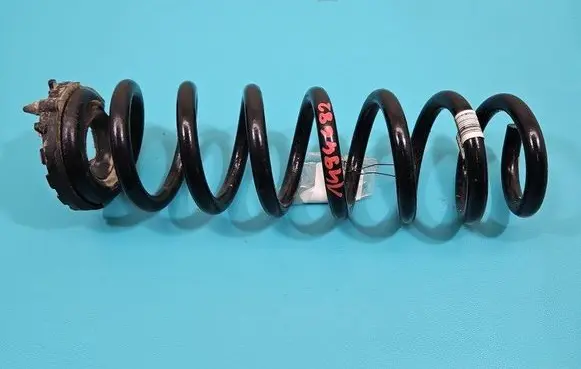 Rear coil spring