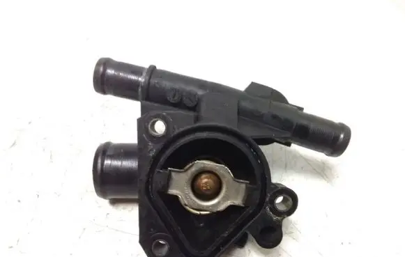 Thermostat/thermostat housing