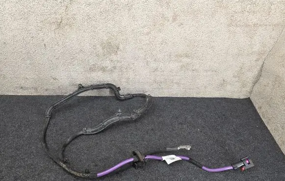 Skoda Octavia Mk4 Wires (generator/alternator) 5WA971227M 4G0906234C