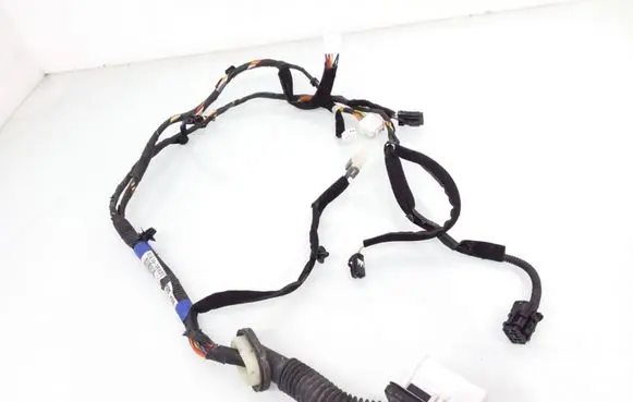 Front door wiring loom