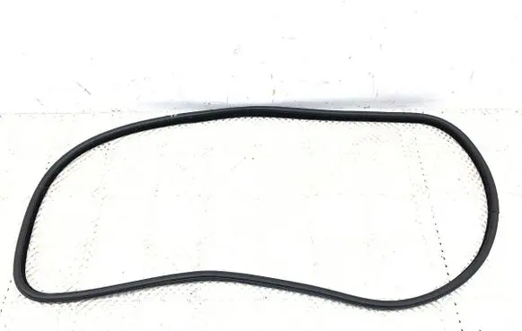 BMW X6 F16 Rubber seal front door (on door) 