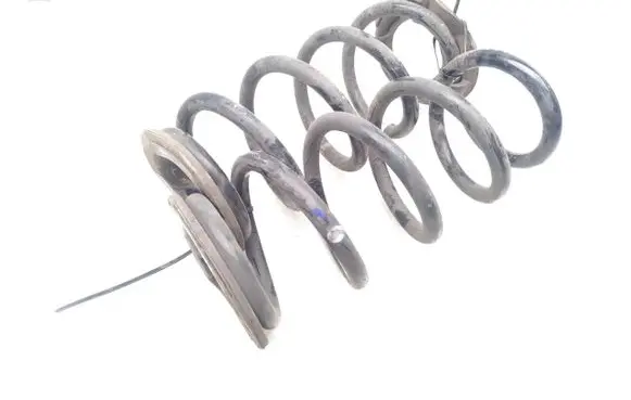 Tesla Model 3 Rear coil spring 104447200H