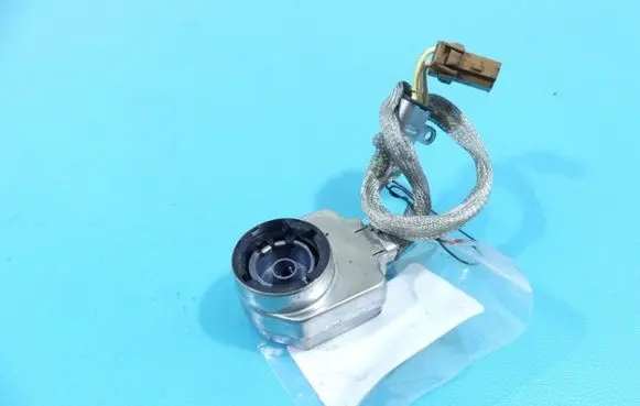 Renault Koleos I Xenon bulb IMPRK1331537