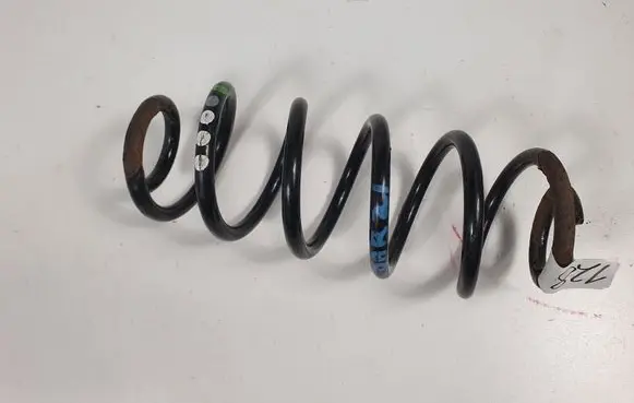 Rear coil spring