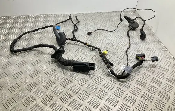 Front door wiring loom