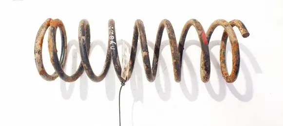 Rear coil spring
