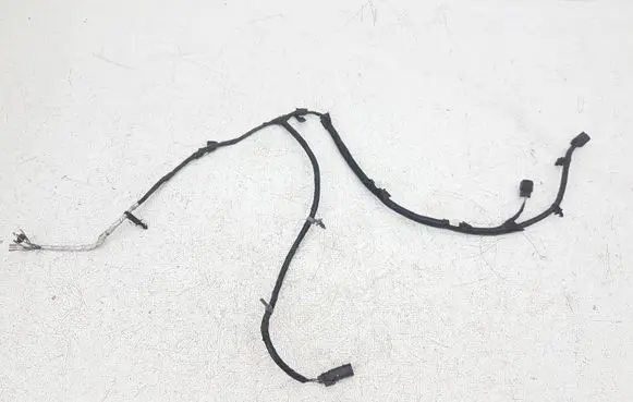 Ford Edge II Other wiring loom