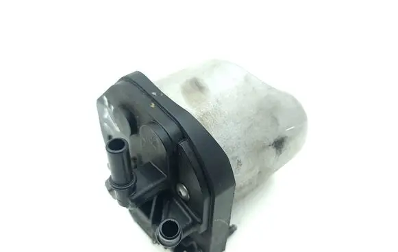 Volvo S60 Fuel filter 9809758280