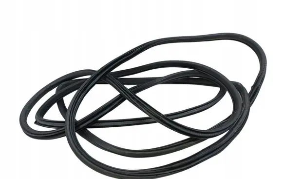 Renault Koleos I Rubber seal front door (on door) 