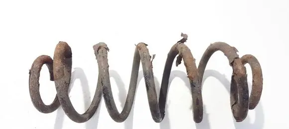 Rear coil spring