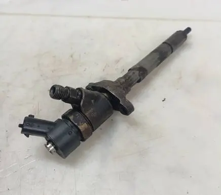 Citroen C5 Fuel injector 0445110188