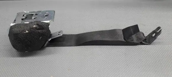 Ford Focus Rear seatbelt