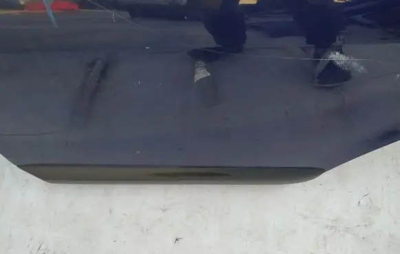 Dacia Sandero Rear door trim (molding)