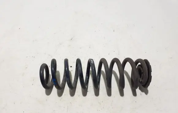 Dacia Spring Rear coil spring 550200356R