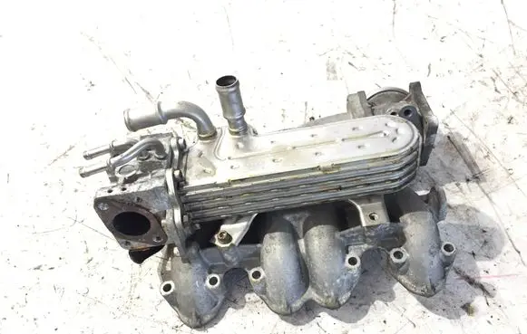 Volkswagen Touran I Intake manifold 038131513AD 03G129713