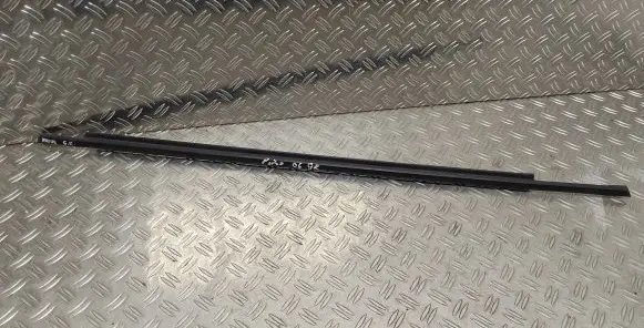 Rear door glass trim molding