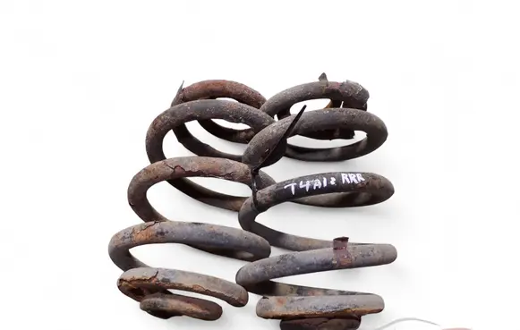 Rear coil spring