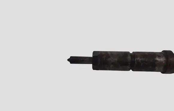 Peugeot 307 Fuel injector 0445110076