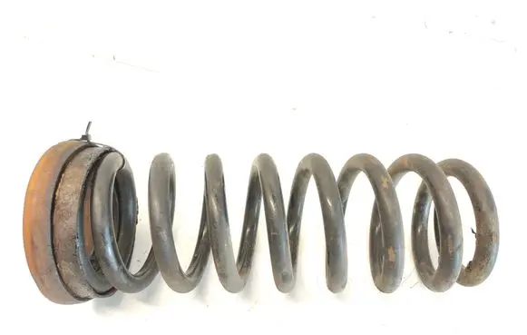 Rear coil spring