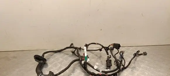 Tesla Model 3 Highland Front door wiring loom 189732202B