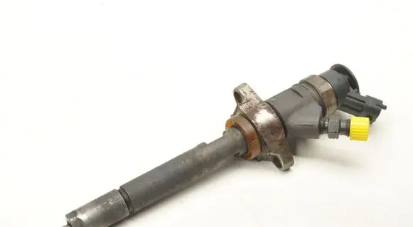 Peugeot Partner Fuel injector 0445110311