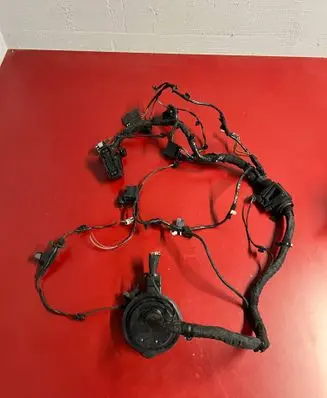 BMW X3 G01 Other wiring loom