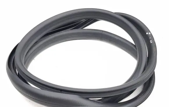 Renault Arkana Rubber seal rear door