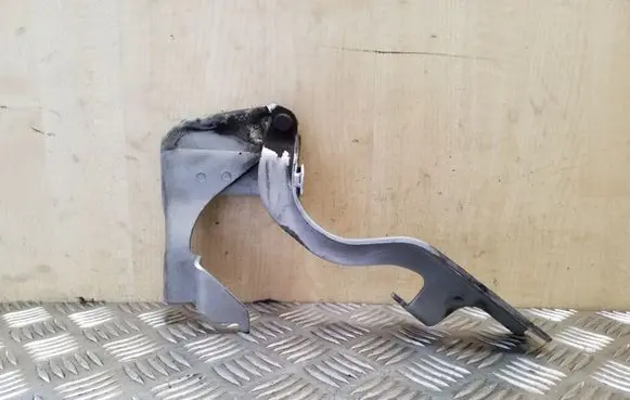 Opel Antara Engine bonnet/hood hinges