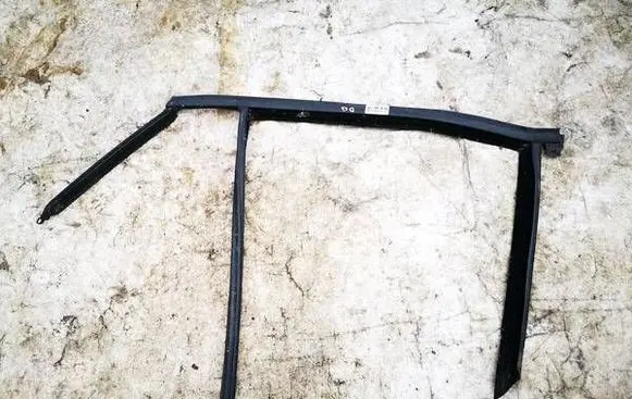 Renault Laguna III Rubber seal rear door 