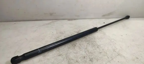 Tailgate/trunk strut/damper