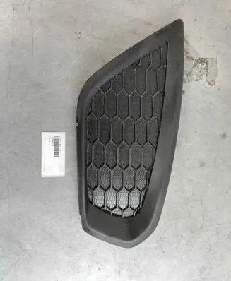 Front fog light trim/grill