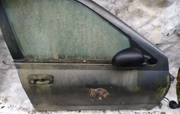 Peugeot 406 Front door pilkos