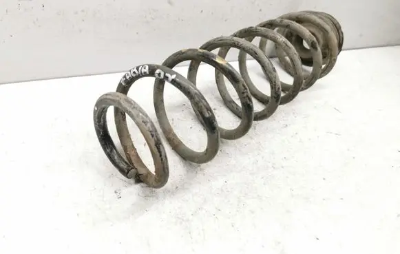 Rear coil spring