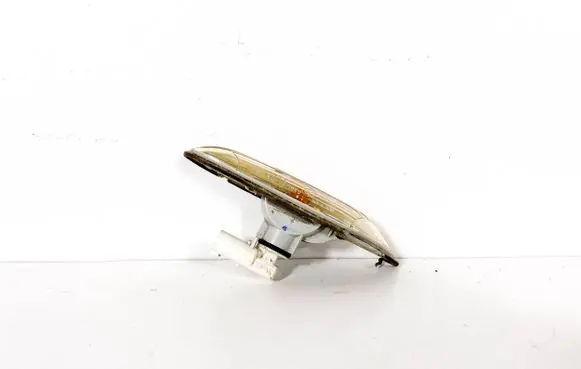 Front fender indicator light