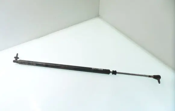 Chrysler Voyager Tailgate/trunk strut/damper 04894554AB 16403