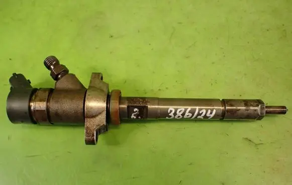 Citroen C4 I Fuel injector 0445110259