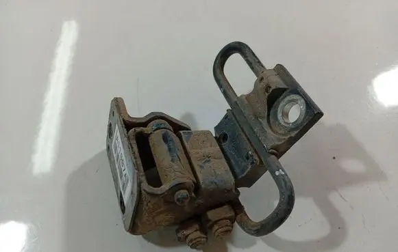 Volkswagen PASSAT B6 Rear door lower hinge