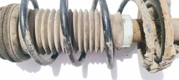 Fiat Punto (188) Front coil spring