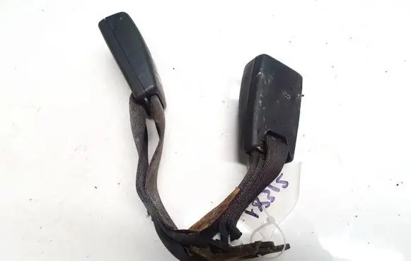 Chrysler 300 - 300C Rear seatbelt buckle 2021686
