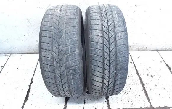 BMW 3 E90 E91 R16 winter tire 20555R16 WINTER1 TIGAR
