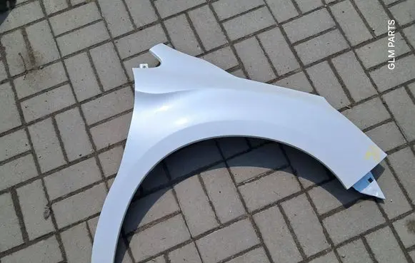 Citroen DS4 Fender
