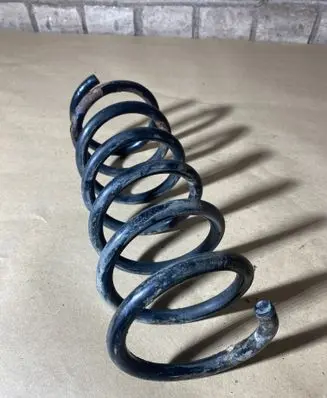 Rear coil spring