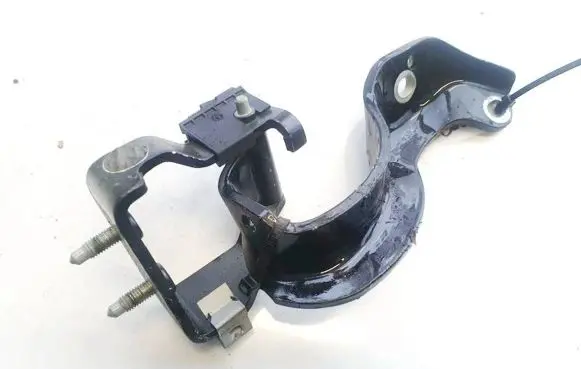 Tailgate/trunk/boot hinge