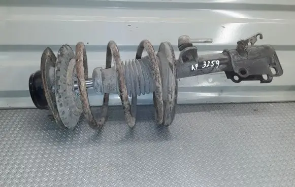 Chrysler Voyager Front shock absorber with coil spring