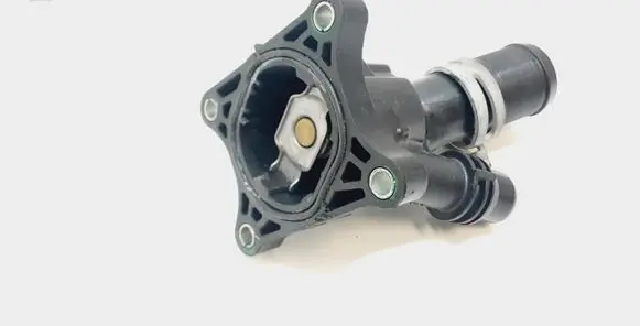 Thermostat/thermostat housing
