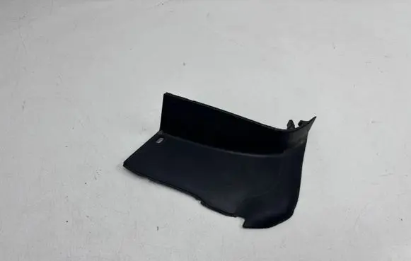 Rear/tail light trim molding