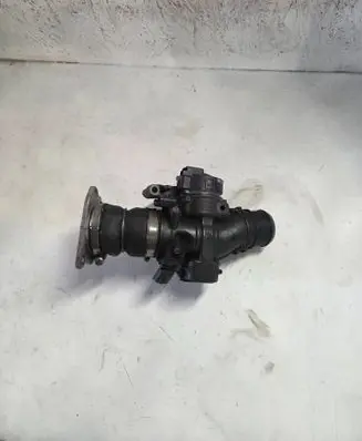 Citroen C4 Grand Picasso Throttle valve 9660030380
